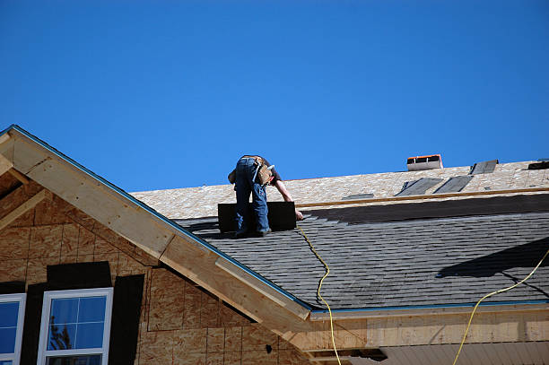 Best Local Roofing Companies  in Carbon Hill, AL
