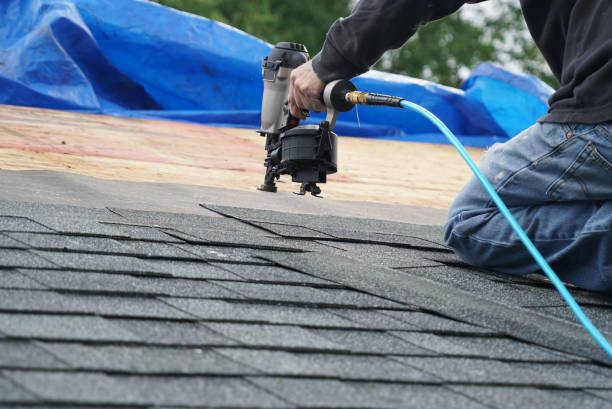 Best Storm Damage Roof Repair  in Carbon Hill, AL